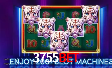 APP oficial da 3755bet para mobile